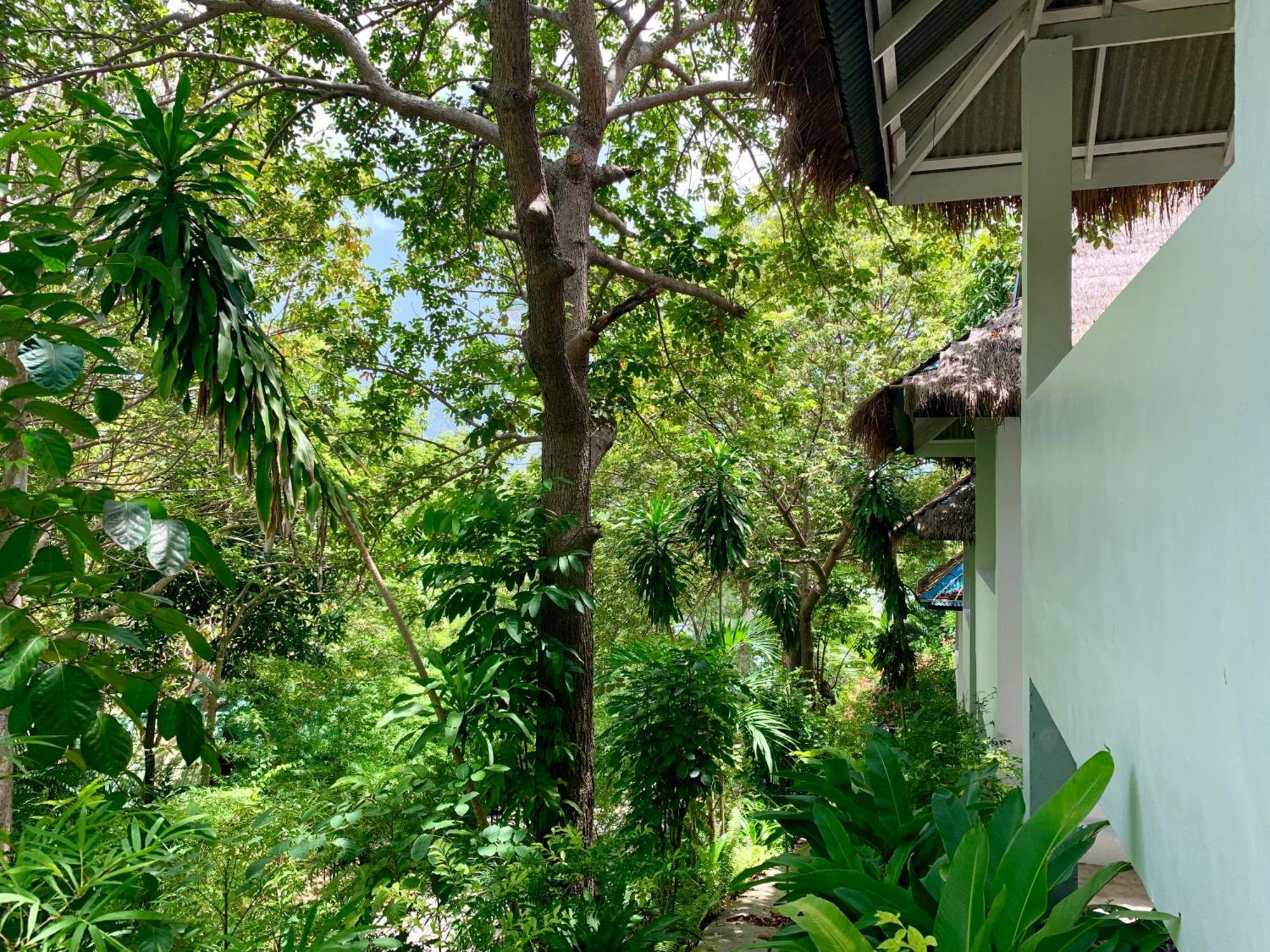 Coconut Beach Bungalows Chaloklum Room photo